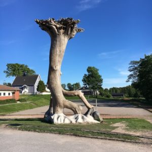 Eken skolgården Hällevadsholm. Foto: Eva Valvring